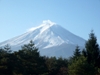 Fuji-san