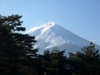 Fuji-san